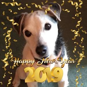 Meet your Posher, Cathy